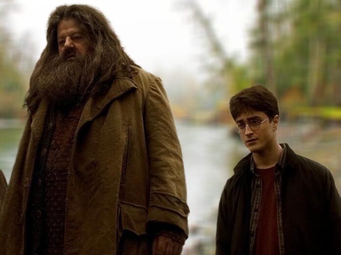 hagrid height